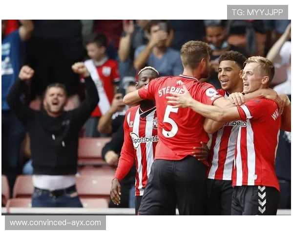 南安普顿足球俱乐部发展历程与未来前景分析