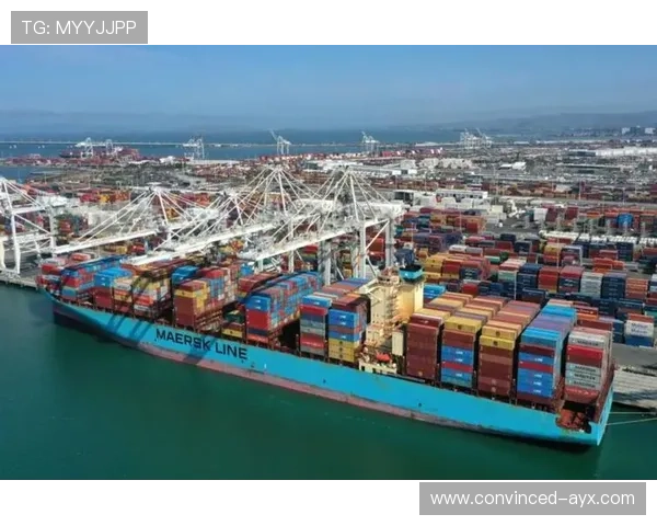 罗马俱乐部与全球可持续发展：面向未来的经济与环境挑战解析