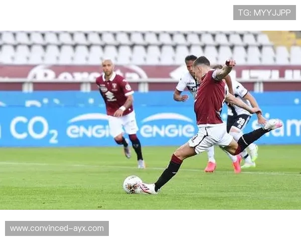 都灵俱乐部百年风云与意甲荣耀传承之路探秘历史变迁与未来展望