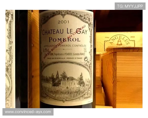 亚特兰大俱乐部全方位解析及未来发展趋势深度探讨 亚特兰大俱乐部全方位解析及未来发展趋势深度探讨