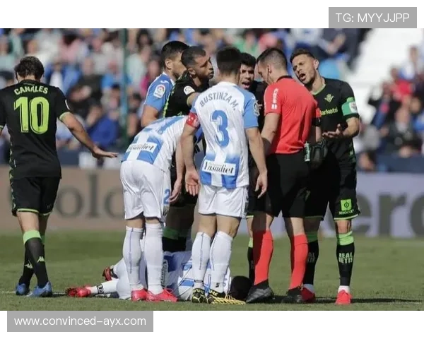 塞尔塔俱乐部全景解析与未来发展战略深度分析