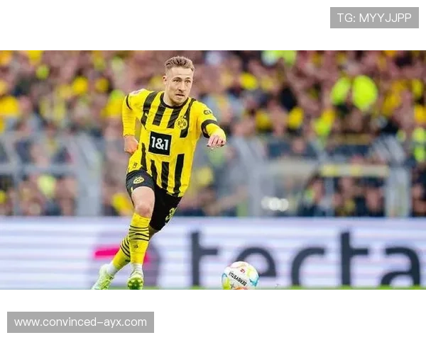 德甲最新动态：拜仁慕尼黑迎战多特蒙德，沙尔克04面临降级危机