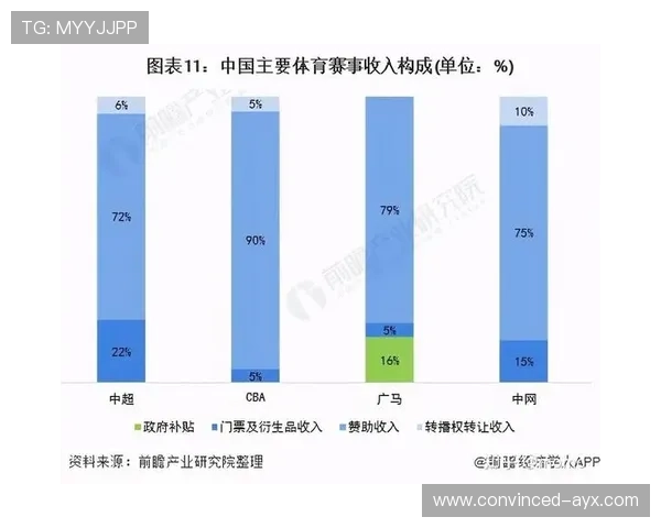 北京市足球赛事全景回顾与未来发展趋势分析